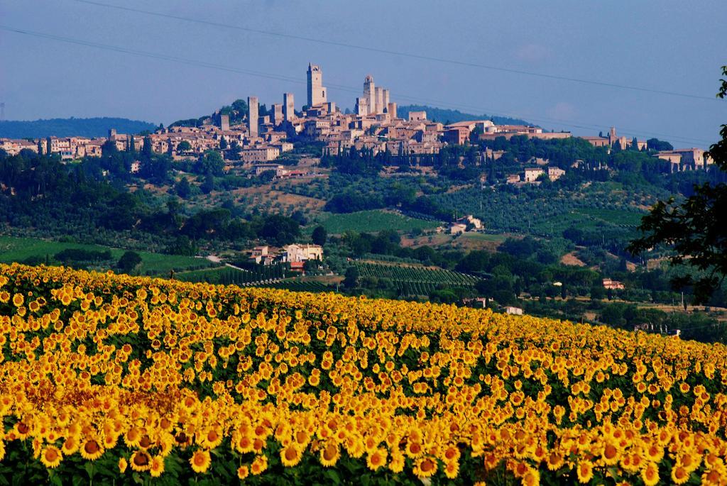 Il Palagione Villa San Gimignano Exteriör bild