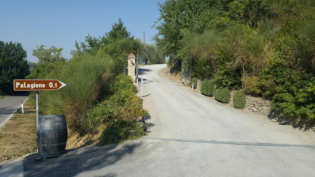 Il Palagione Villa San Gimignano Exteriör bild