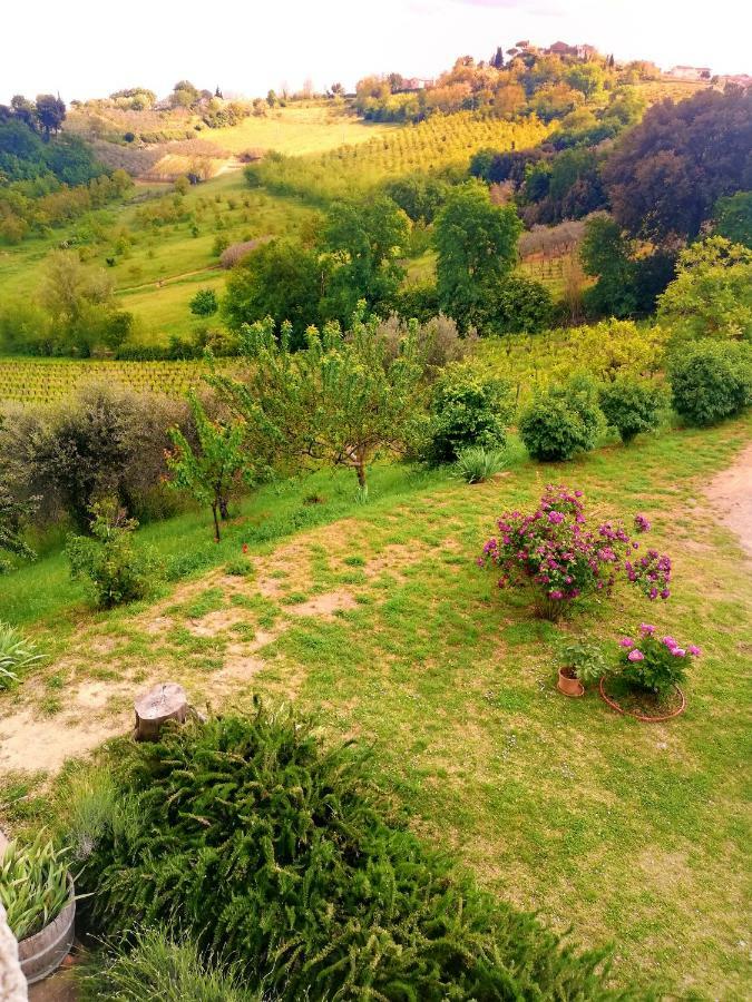 Il Palagione Villa San Gimignano Exteriör bild