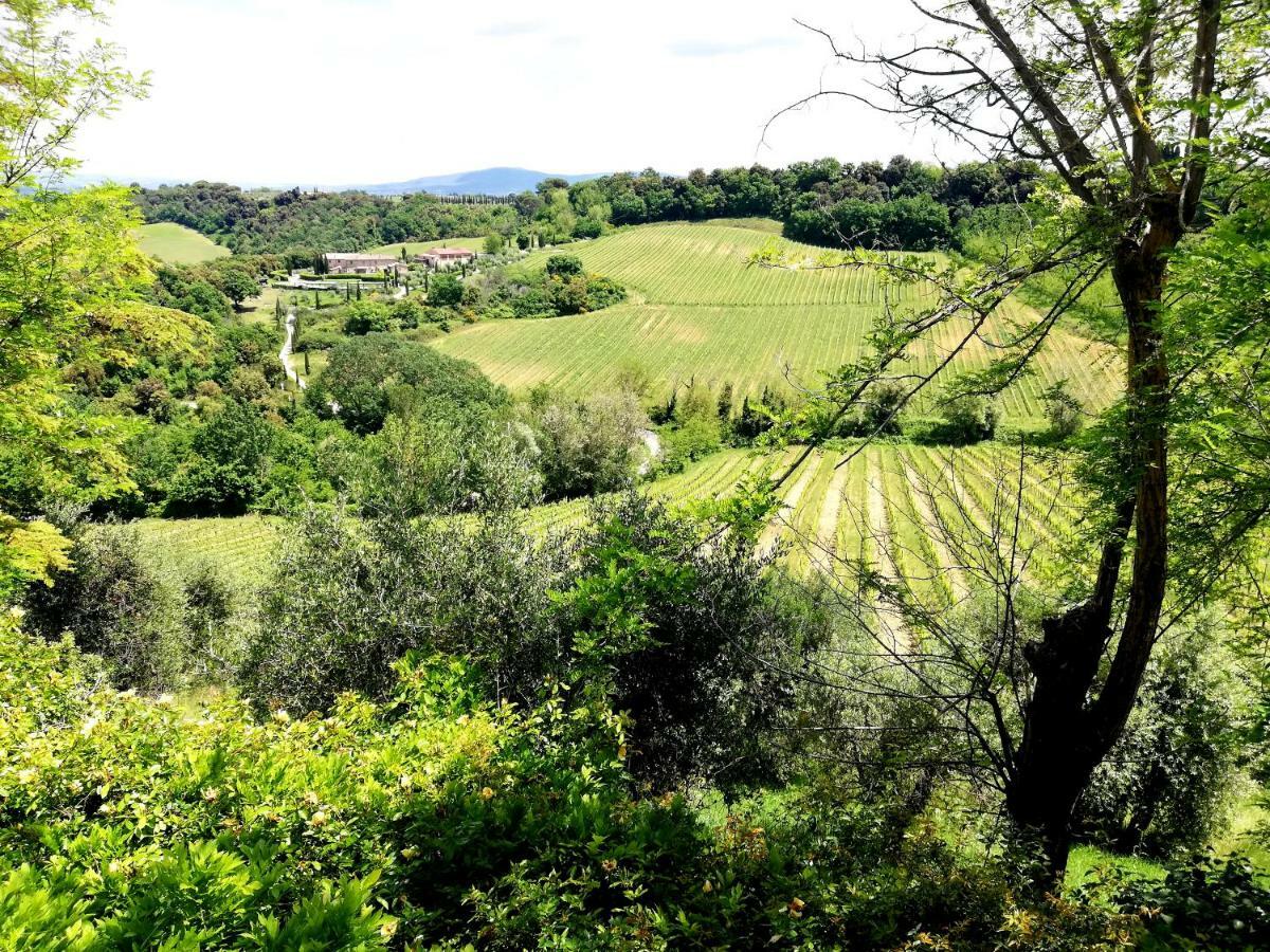 Il Palagione Villa San Gimignano Exteriör bild